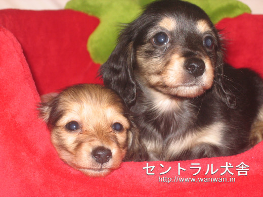 364001 (a): :1600x1200